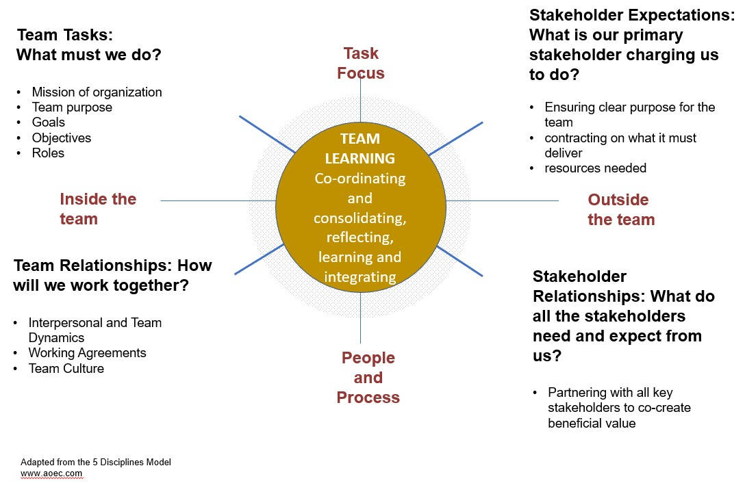 Team Coaching Diagram