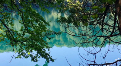 Summer – A Perfect Time to Increase Your Resilience