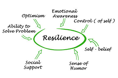 Components of Resilience